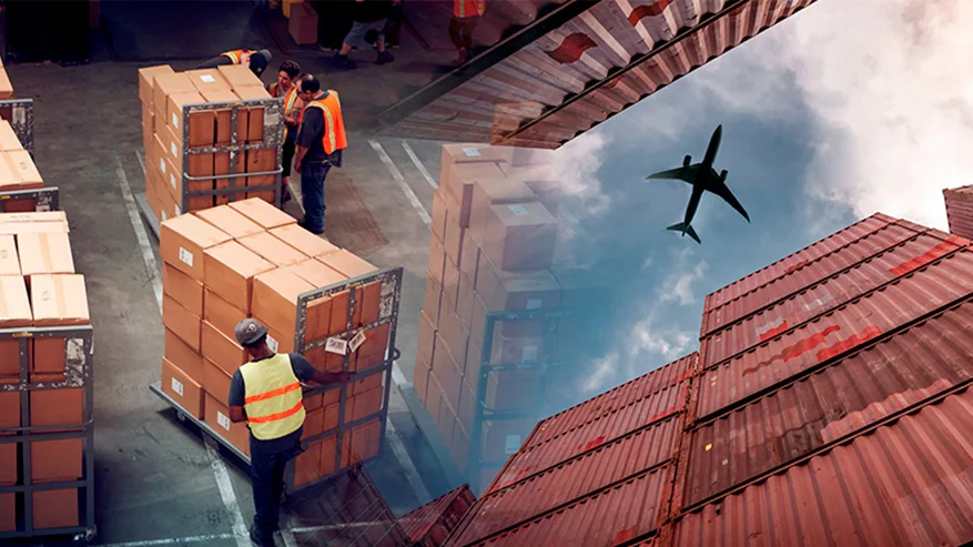 Transportunternehmen Dortmund: Maßgeschneiderte Logistiklösungen für Unternehmen